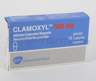 Pharmacie Meysen Sprl 3990 Peer Home Clamoxyl 500 Mg 16 Caps Pharmacie Meysen Sprl 3990 Peer Home Clamoxyl 500 Mg 16 Caps