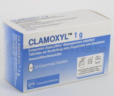 Pharmacie Meysen Sprl 3990 Peer Home Substances Actives A Amoxicilline Clamoxyl 1 G 24 Comp Pharmacie Meysen Sprl 3990 Peer Home Substances Actives A Amoxicilline Clamoxyl 1 G 24 Comp